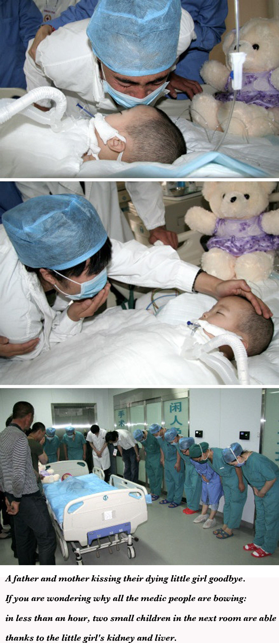 little girls organ donation copy